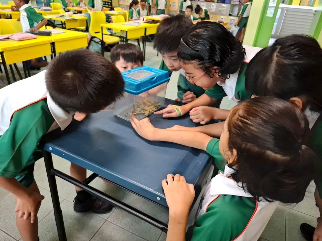 Students observing a butterfly as part of a learning activity.